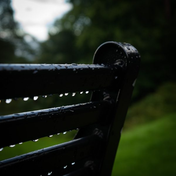 After the rain