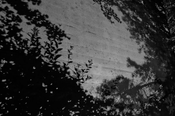 Shadow on the wall