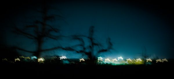 Citylights
