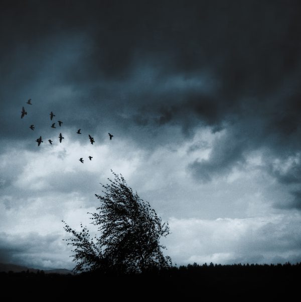 The sky is the Limit