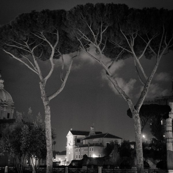 Roma 8