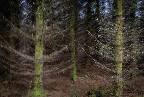 Scotland 5