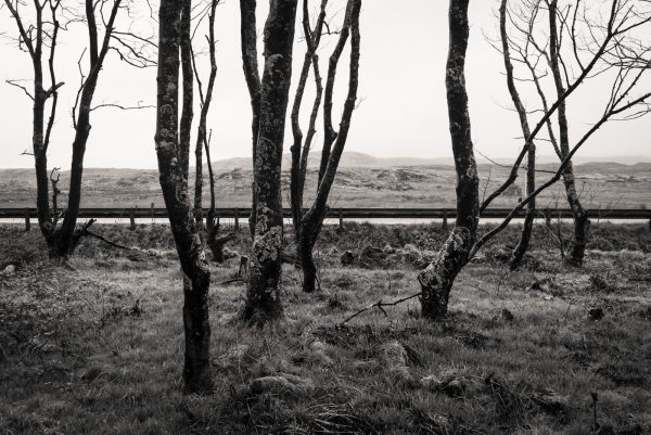 Scotland 4