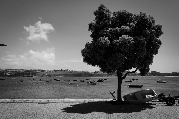 Boats in Porto