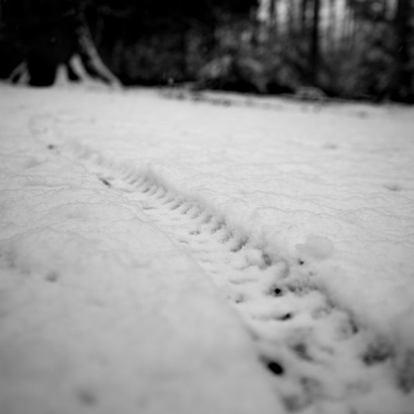 Traces in the snow 9