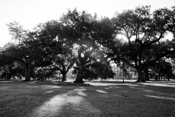 New Orleans 32