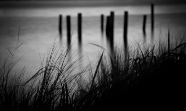 Swampland