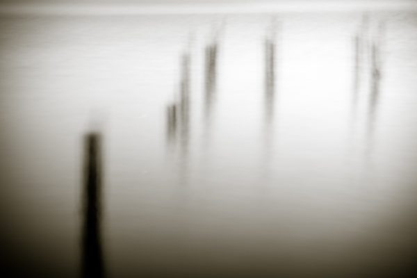 Swampland
