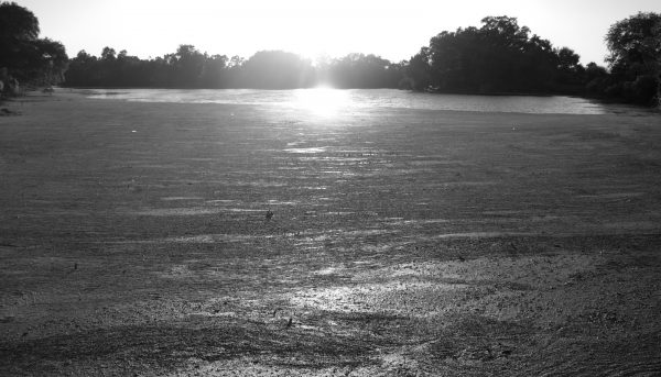 Swampland