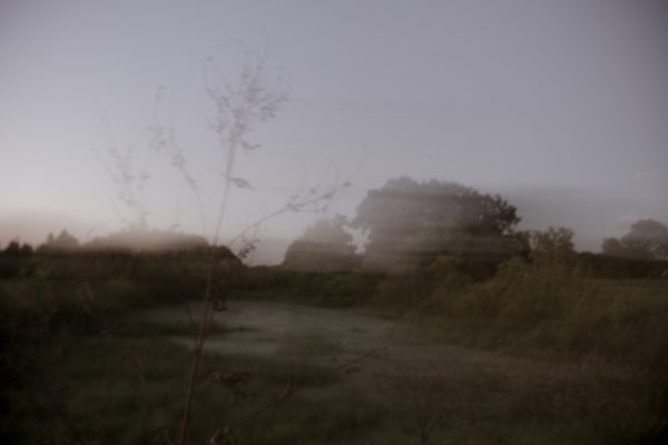 Swampland