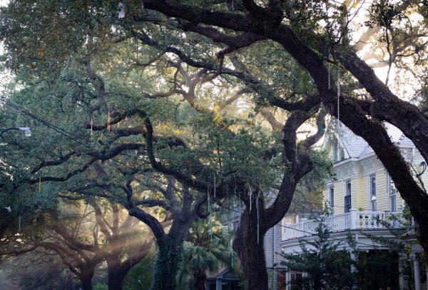 New Orleans 20