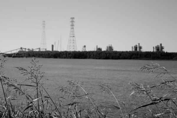 Swampland